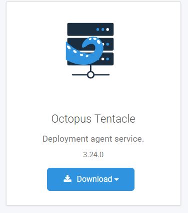octopus tentacle download